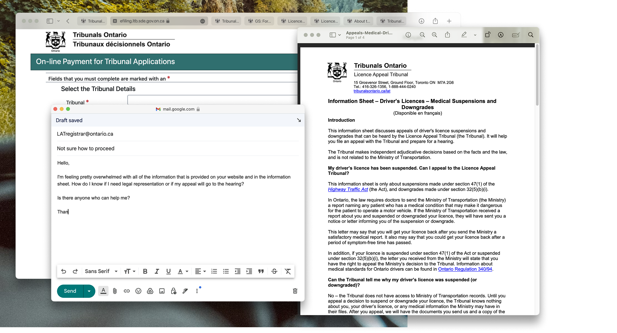 A supportive Licence Appeal Tribunal experience