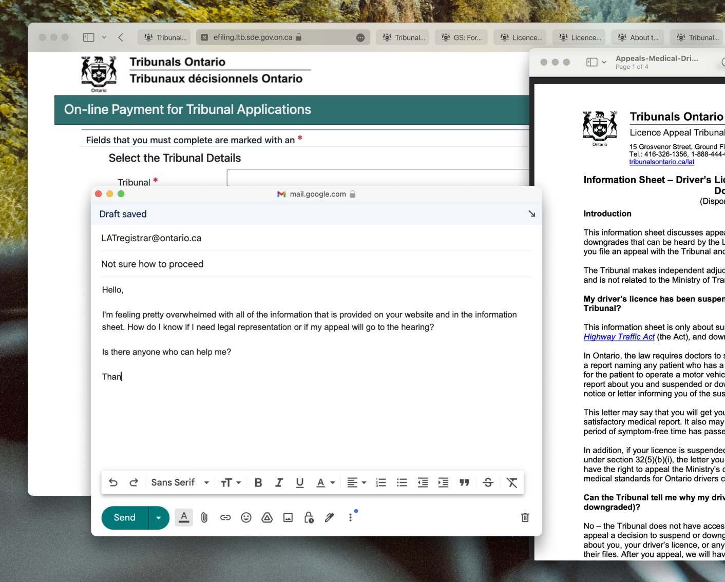 A supportive Licence Appeal Tribunal experience