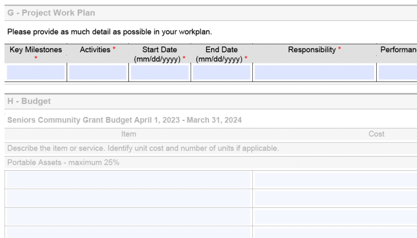 Form with incredibly small text fields for a Project Work Plan